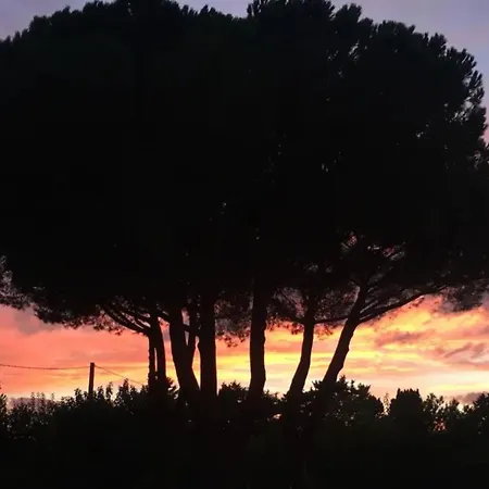 La Casa Rossa 2