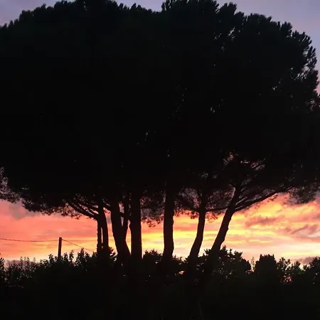 La Casa Rossa 2 *